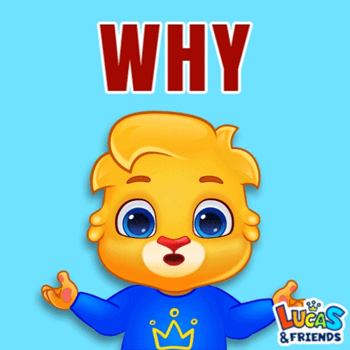 Lucas Asking Whyyy GIF