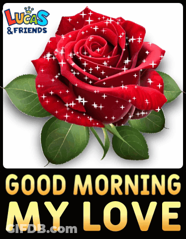 Lucas & Friends Greeting Card With Red Rose Saying Good Morning My Love GIF