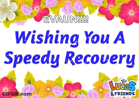 Lucas & Friends Speedy Recovery Flowers GIF