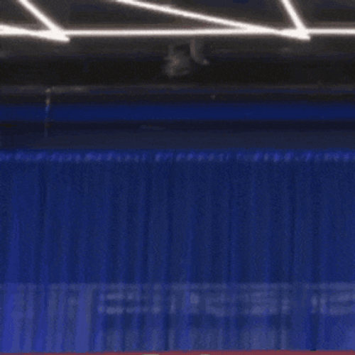 Lucas Ot Lucas Curotto GIF