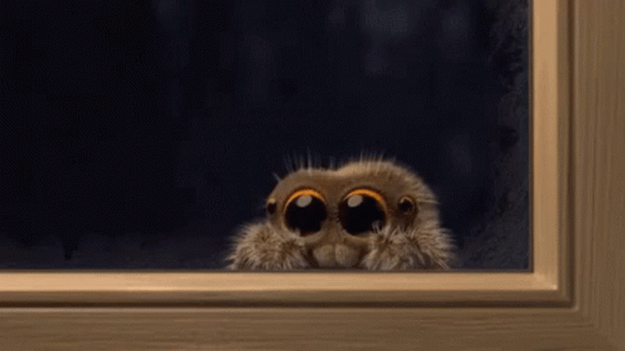 Lucas The Spider GIF