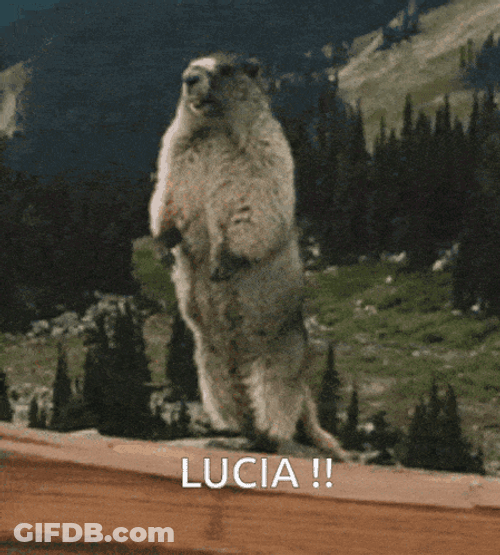 Lucia GIF