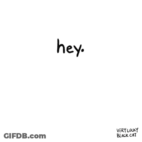 Lucky Black Cat Saying Hey GIF