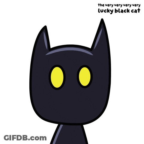 Lucky Black Cat With Yellow Eyes GIF