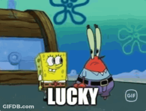 Lucky Duck Running Down Road GIF