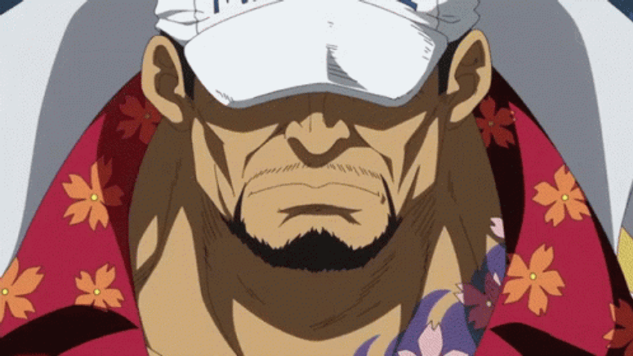 Luffy Fighting Akainu GIF