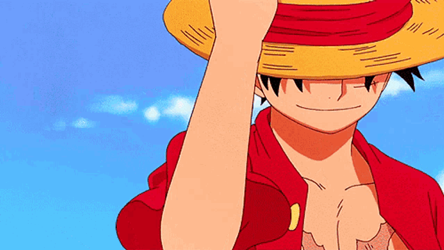 Luffy One Piece GIF