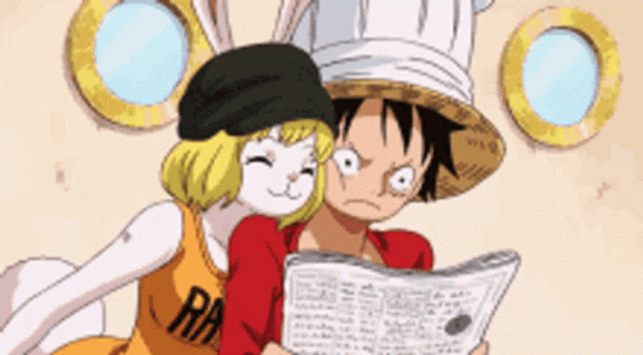 Luffy Reading With Carrot GIF
