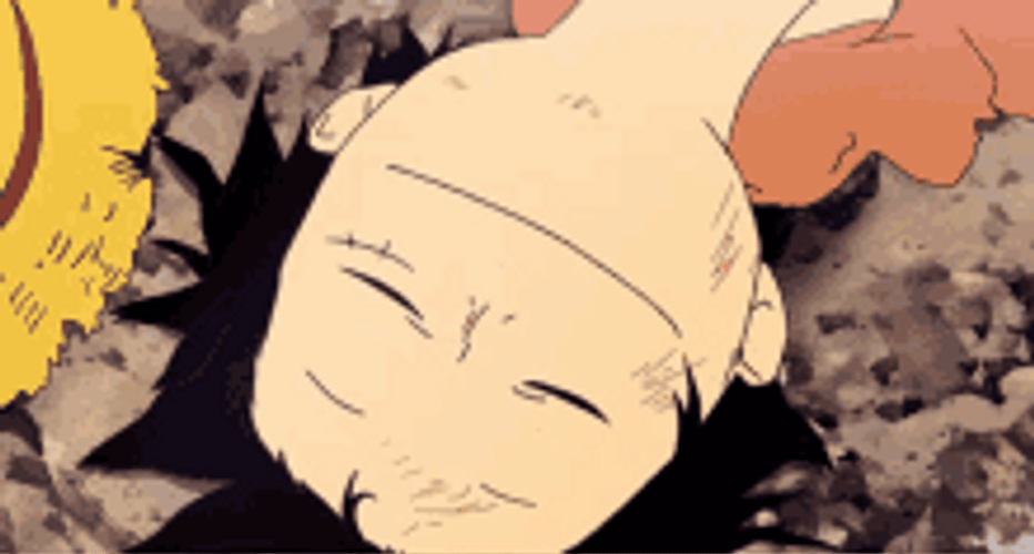 Luffy Sleeping Wide Smile GIF
