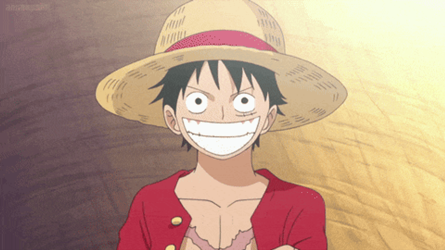 Luffy Smile One Piece GIF
