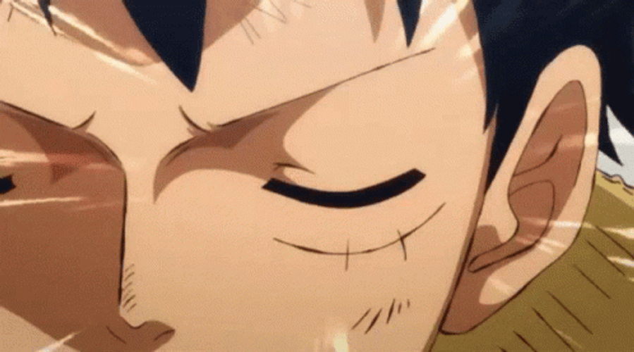 Luffy Using Emperors Haki Against Wano Invaders GIF