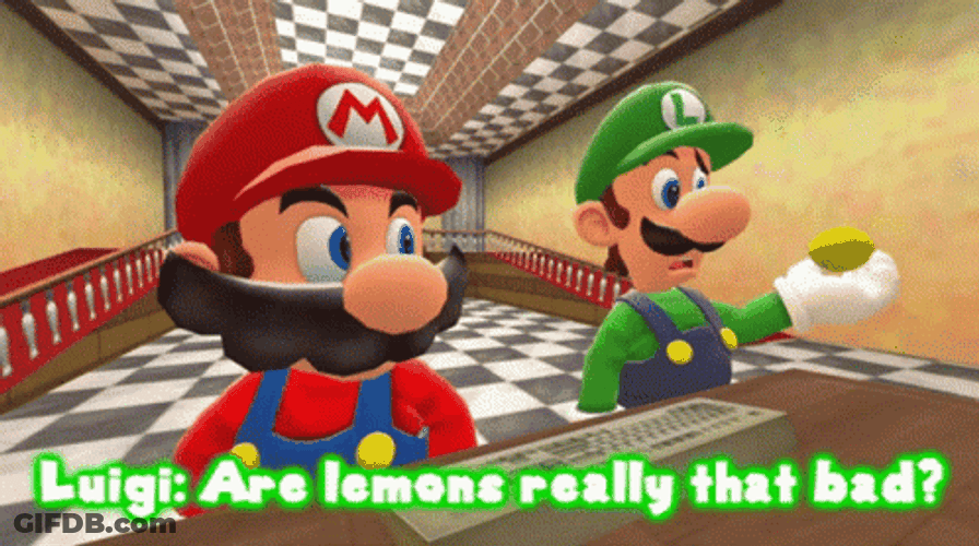 Luigi And Mario In SMG4 GIF