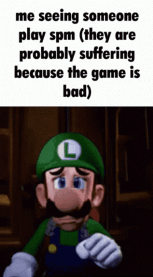 Luigi's Mansion 3 Someone Play Spm GIF
