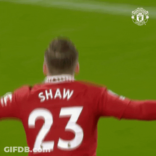 Luke Shaw Cheering On The Field GIF