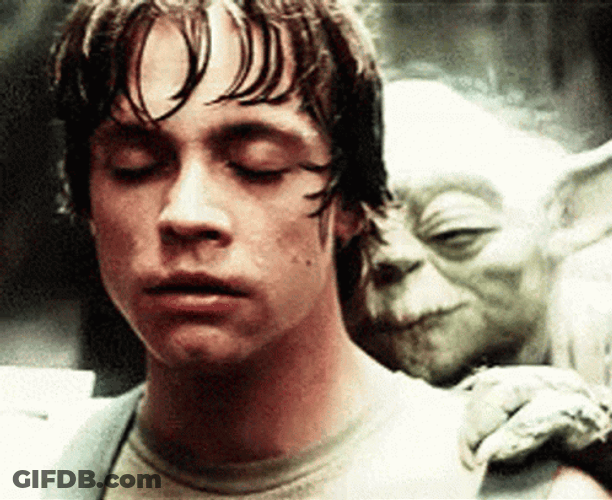 Luke Skywalker Focusing With Master Yoda GIF
