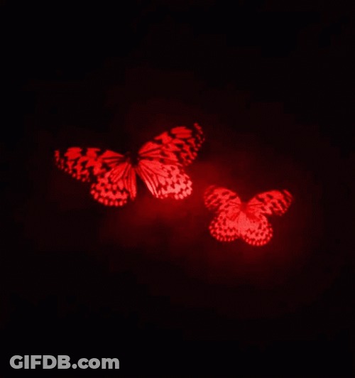 Luminescent Red Butterflies GIF