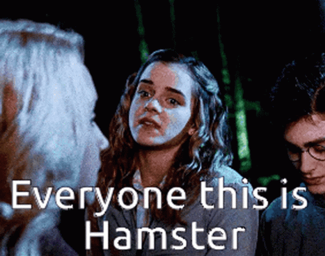 Luna Lovegood Everyone This Is Hamster Funny Meme GIF