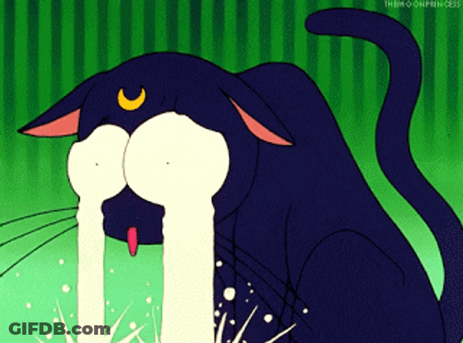 Luna Tears Flowing Sailor Moon GIF