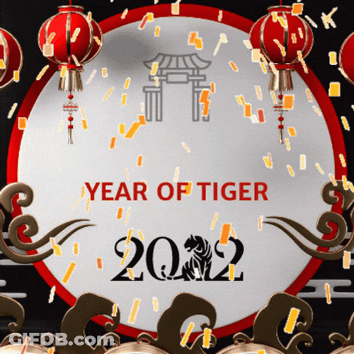 Lunar New Year 2022 Fireworks Confetti GIF