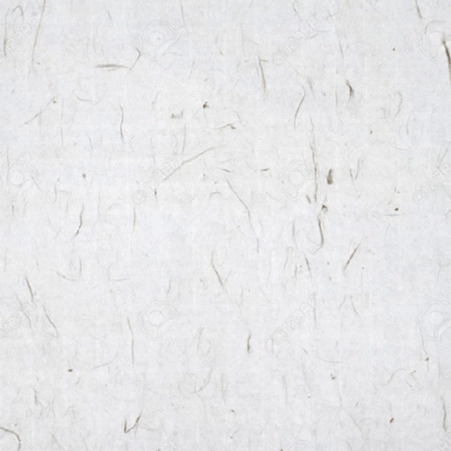 Lunar New Year Long Chinese Handwriting GIF