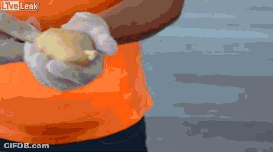 Lunch Time Leak Potato Wedges GIF