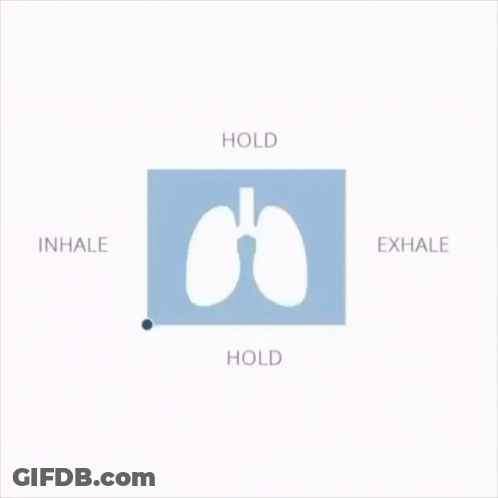 Lungs With Hold Inhale Exhale GIF