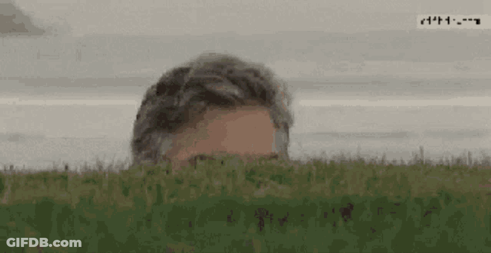 Lurk Peek GIF