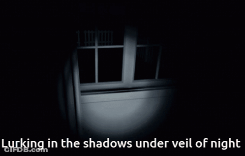Lurking In The Shadows Under Veil Of Night GIF