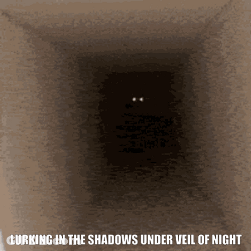 Lurking In The Shadows Under Veil Of Night GIF