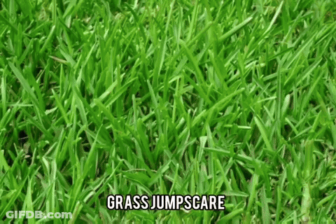 Lush Green Lawn Grass Jumpscare GIF