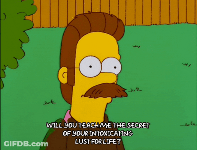 Lust For Life Ned Flanders The Simpsons GIF