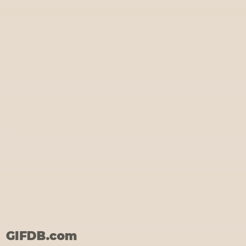 Luxury Tanzania Safari Camps Packages Book Now GIF