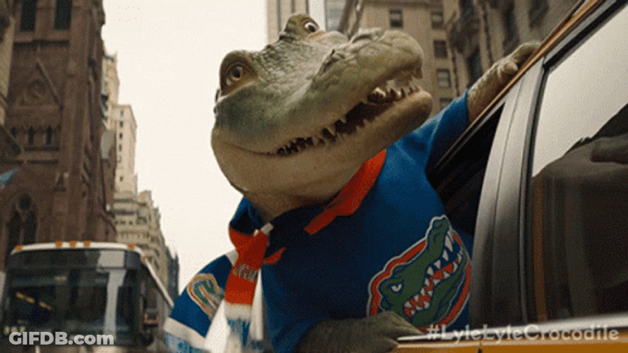 Lyle Crocodile Looking Outside The Car Window GIF