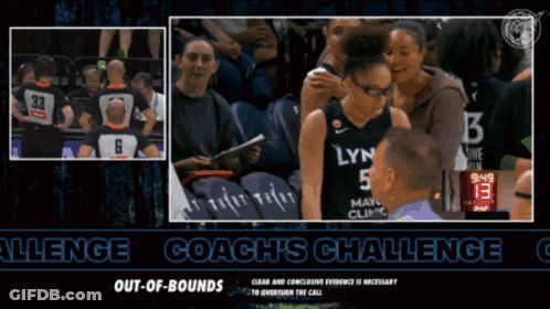 Lynx Player Talks To Coach In Stands GIF