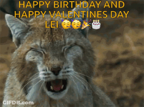 Lynx Yawning With Happy Birthday And Valentines Lei GIF