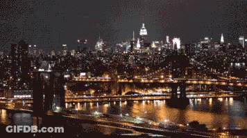 Lyon GIF