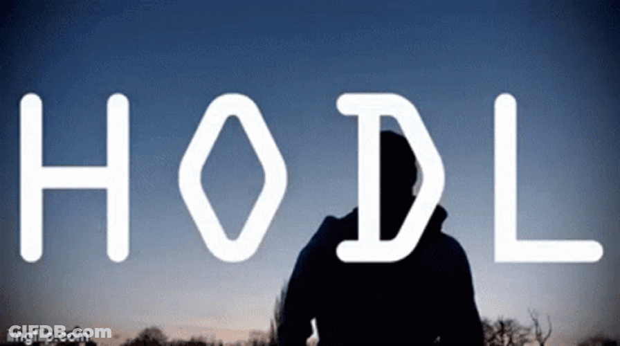 Lyric Video Hodl GIF