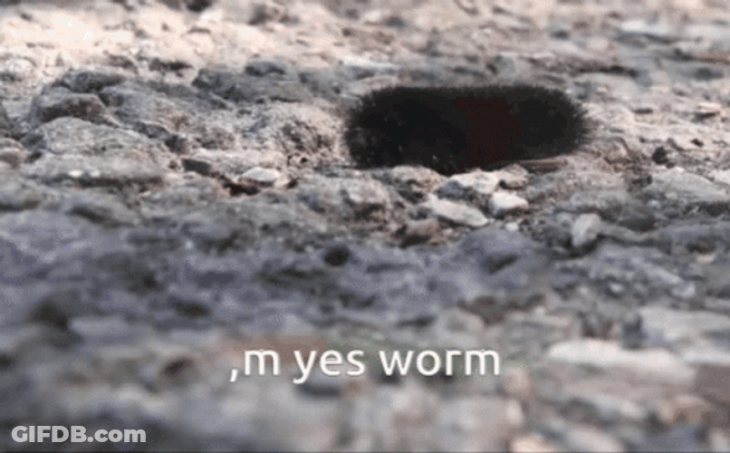 M Yes Worm GIF