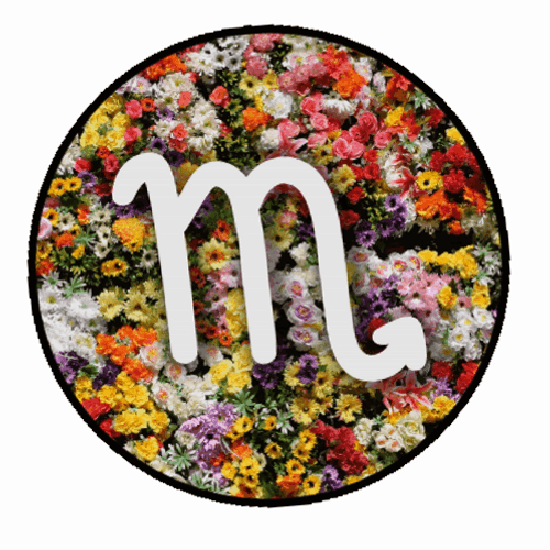 M Zodiac Signs Flowers Sticker Scorpio GIF