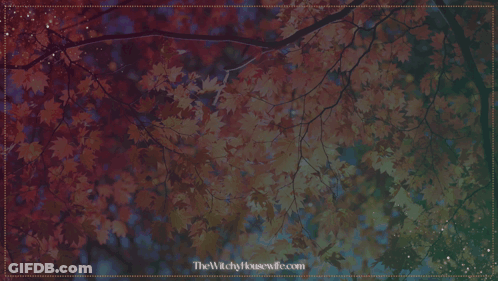 Mabon's Blessings Sign GIF