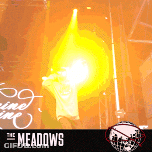 Mac Miller The Meadows NYC GIF