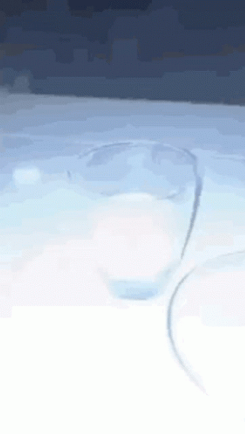 Mac Miller Ugh Cookie GIF