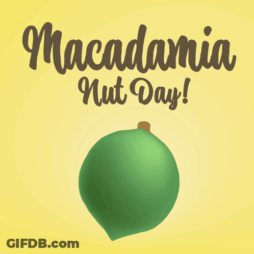 Macadamia Nut Day Poster With Nut GIF