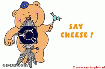 Macaroni And Cheese Delish GIF