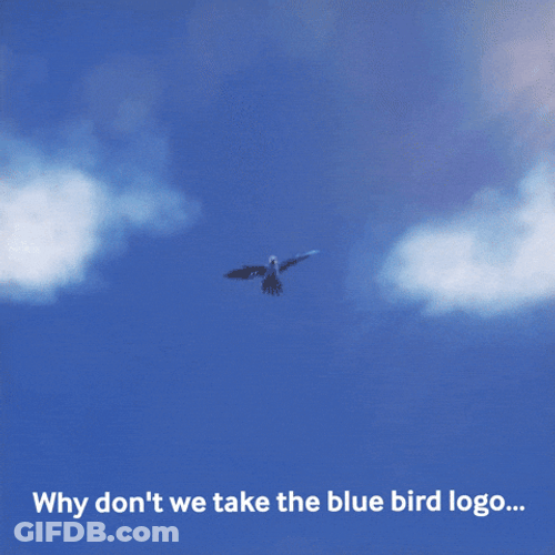 Macaw Blue Birds GIF