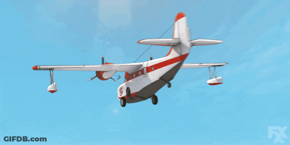 Macaw Fell From Plane GIF
