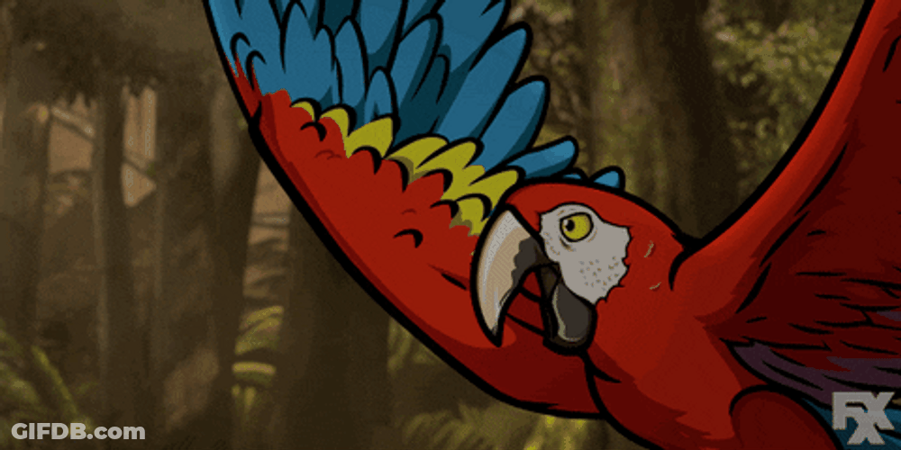 Macaw Got Choked GIF