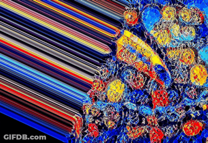 Macaw Mosaic Art GIF