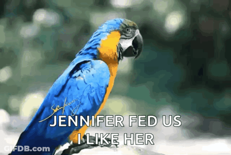 Macaw Parrot Mumbling Something GIF