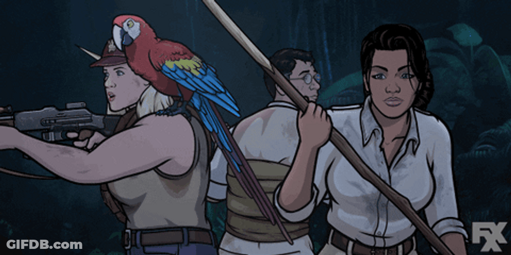 Macaw Went Hunting GIF